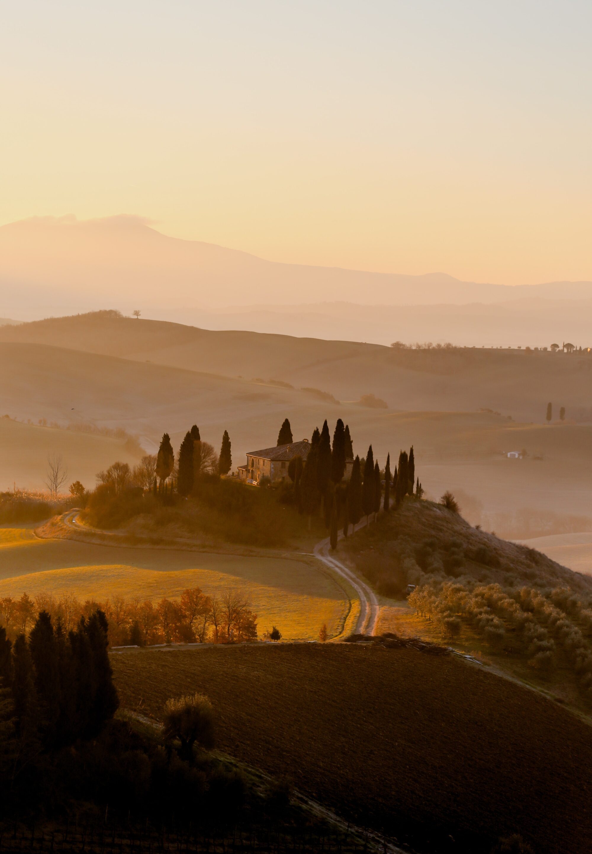giuseppe-mondi-fJWYwHWYQpY-unsplash-2000×3000
